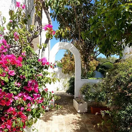 Buganvilia Da * Praia Da Luz