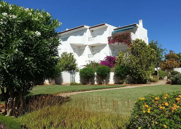 Buganvilia Da Daire Luz